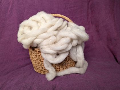 Muppet's fleece - very pale cream romney roving