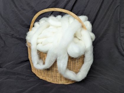 Shizzle's fleece - white romney hogget roving