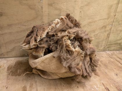 Ginge's fleece - lush moorit raw wool for spinning