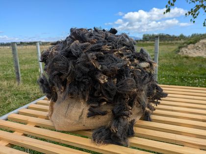 Penda's fleece - medium/dark grey romney lamb fleece 500g