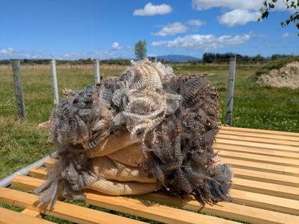 Tessa's fleece - light grey romney lamb fleece 500g