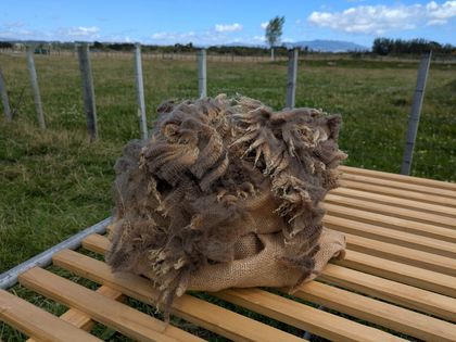 Amber's fleece - brown romney lambswool 500g