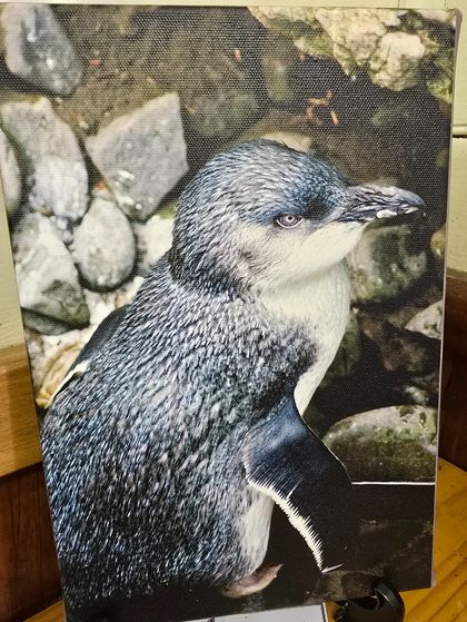 A4 canvas artwork - little blue penguin