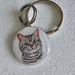 Cat Name Tag