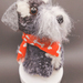 Pompom - Full body Schnauzer Grey - DB34a