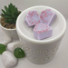 Love & Books Scented Wax Melts | 8 in a pack