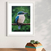 Sacred Kingfisher - A4 Fine Art Print