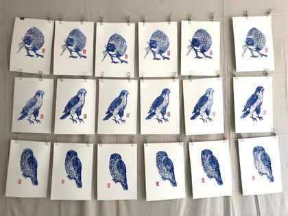 Native bird prints