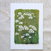 Daisy oh Daisy : Gouache painting on Cotton Rag Paper