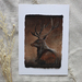 Majestic Stag: Gouache painting on Cotton Rag Paper