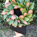 Magnolia Wreath