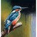 Kingfisher (2023) high quality A3 Giclee Print