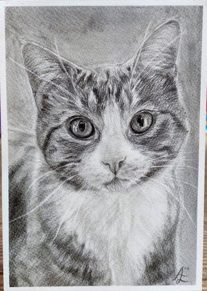 Custom Graphite Pet Portrait A5