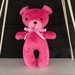 BABIES FIRST TEDDY - Bright Pink Bear