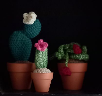 Cacti, set of 3 crochet houseplants