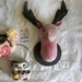Mr Rosy, Mounted Stag Wall Hanging, Faux Taxidermy