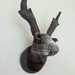 Stag Wall Hangings, Duggie