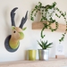 Stag Head Wall Hanging, Envy