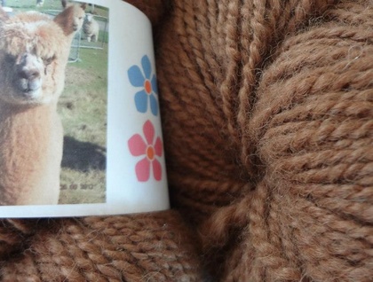  Handspun Baby Alpaca Yarn,  Dark Fawn,  Double Knit,  155 gm, 22 Micron