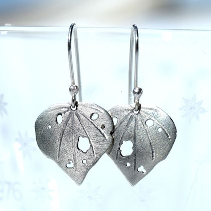 Medium kawakawa leaf earrings in sterling silver