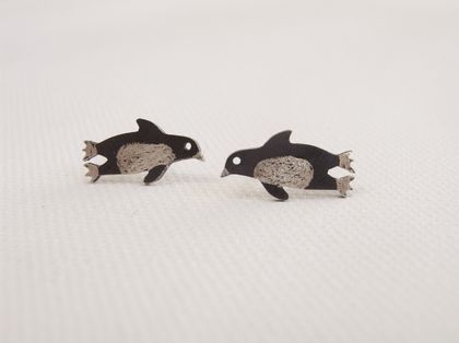 Native New Zealand Korora (Little Blue Penguin) Stud Earrings