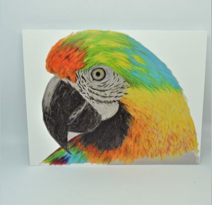 Greeting Card from original painting Macaw