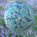 Handknit: Blue Heather beanie (Tip ya Hat range)