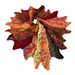 Scarf/Shawl: Autumn Plumage (Eclectic Rapt range)