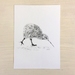 Kiwi print A5- Contemporary art print of a pencil drawing