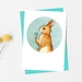 Pack of 4 Daisy Bunny Greeting Cards (4 design options)