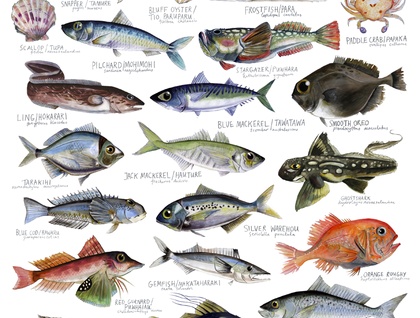 Illustrated Fish Chart