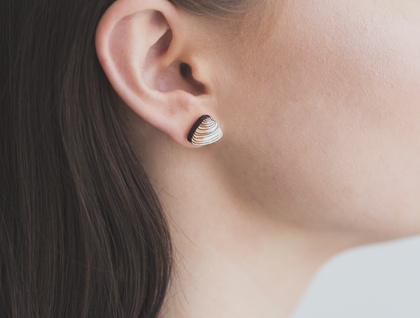Pipi shell Rimu earrings