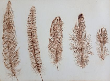 Feather Drypoint - Printmaking