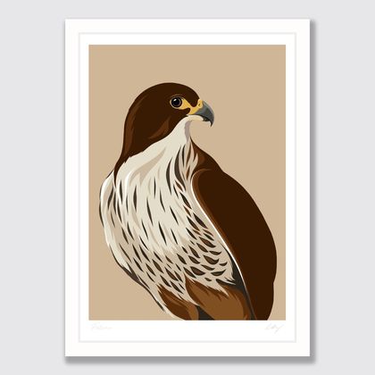 NZ Falcon A4 Fine Art Print 