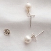 Pearl/Silver Bar Earrings