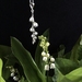 Lily of the valley flower pendant , individually enamelled sterling silver flower necklace