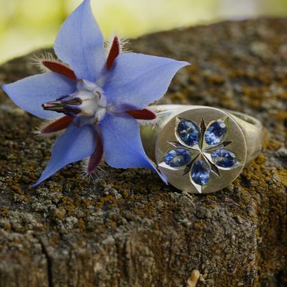 Ceylon sapphire starflower borage signet ring 