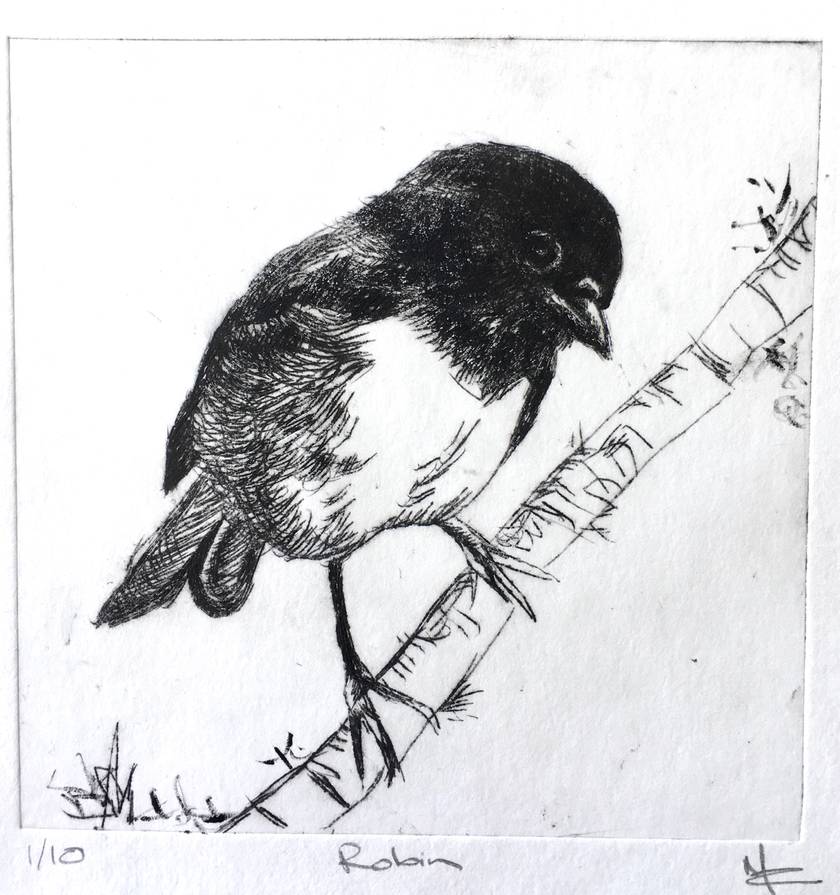 Robin limited edition drypoint etching | Felt