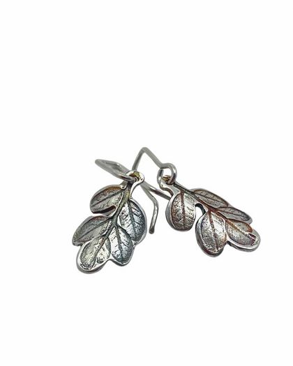 Kowhai Leaf Charm Dangle Earrings in Sterling Silver
