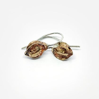 Large Kowhai Seed Pod Earrings in Sterling Silver and Bronze