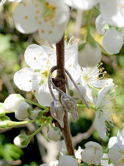 Small Kowhai Seed Pod Hoop Earrings – STERLING SILVER