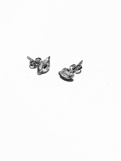 Sterling Silver Kowhai Seed Pod Earrings