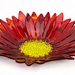 Fused Glass Gerbera Flower Bowl - Red