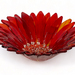 Fused Glass Red Gazania Flower Bowl