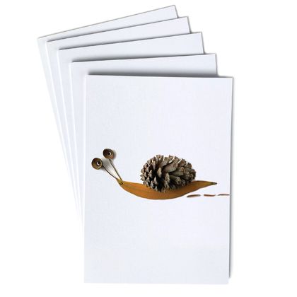 Greeting cards - 5 pack. 'Snail Leaves'