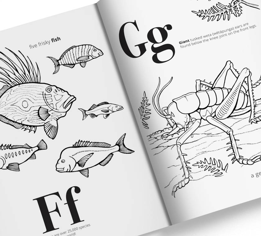 New Zealand A-Z Colouring Book | Felt