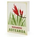 Harakeke illustration. A6 card with envelope – New Zealand native flower series. 