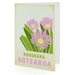 Horokaka illustration. A6 card with envelope – New Zealand native flower series. 