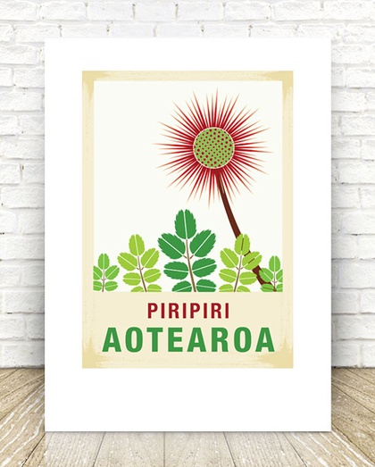 Piripiri illustration. A4 print New Zealand native flower series.