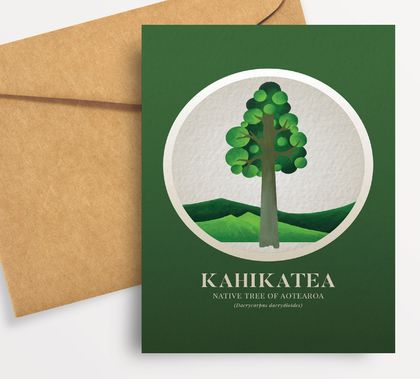 Kahikatea illustration in gouache – Native Trees of Aotearoa series.